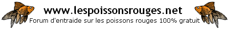 lien aquariophile vers lespoissonsrouge.net